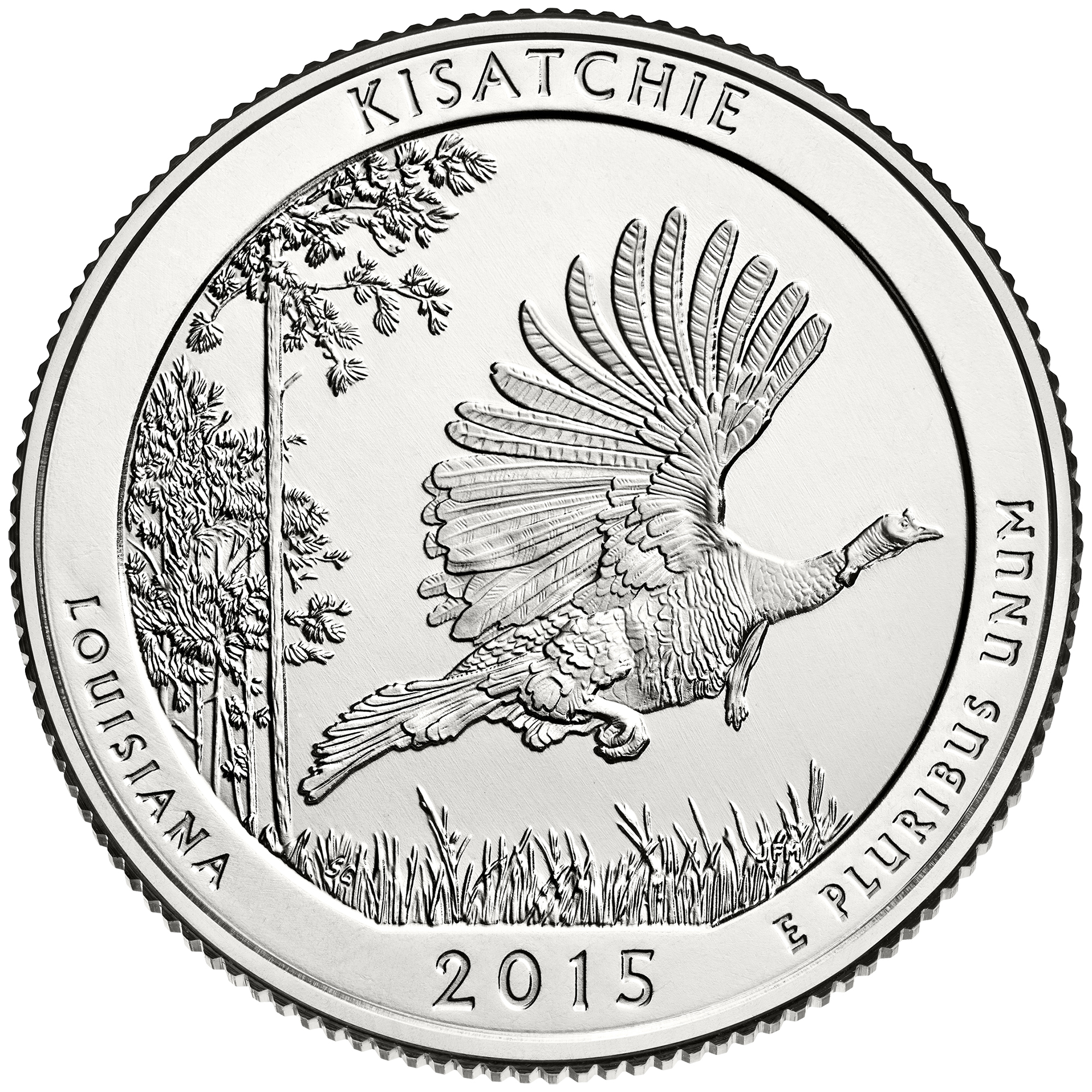 Kisatchie National Forest Quarter Reverse