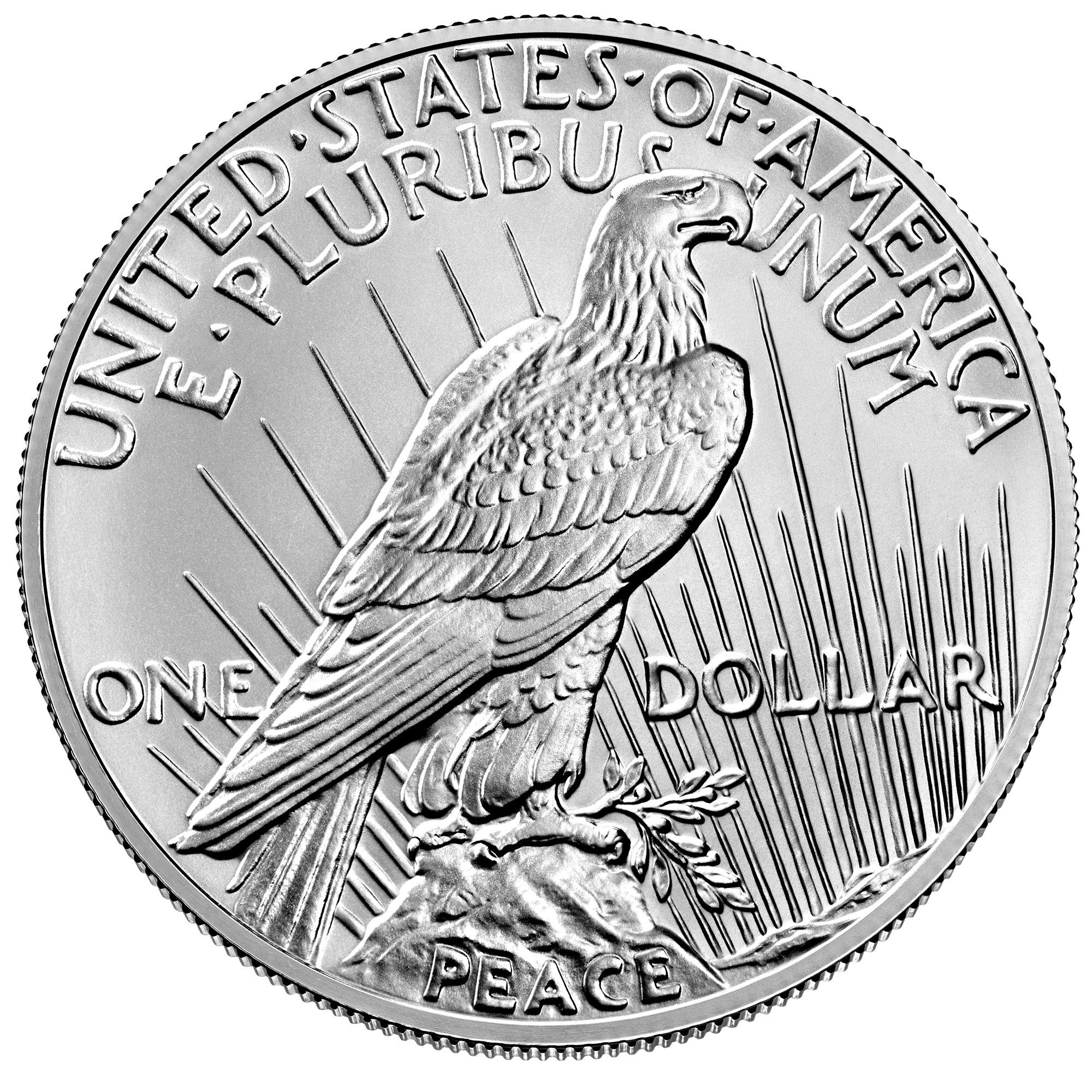 Peace Dollar Reverse