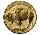 20th Anniversary American Buffalo 2026 One-Tenth Ounce Gold Reverse Proof Coin, , hi-res
