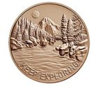 Steve Gleason Bronze Medal