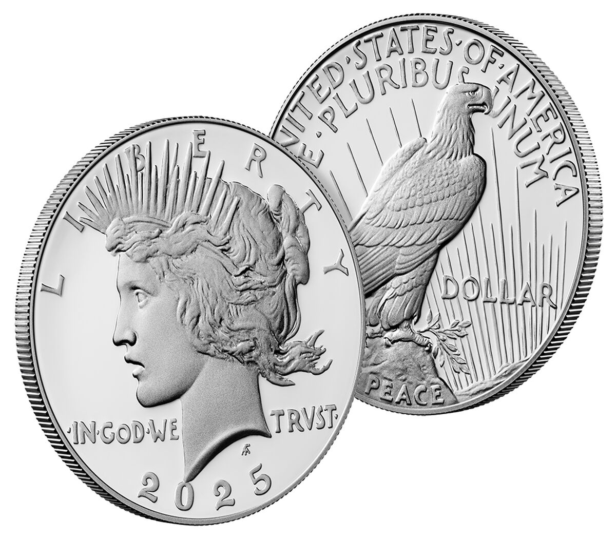 Peace Silver Dollar 2025 Proof Coin, , hi-res image number 5.0