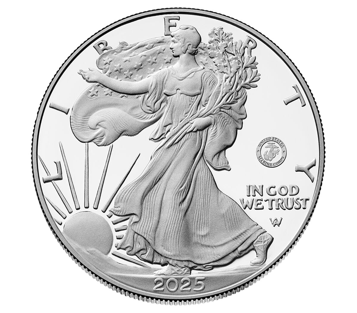 250th Anniversary United States Marine Corps American Eagle One Ounce Silver Proof Coin, , hi-res image number 3.0