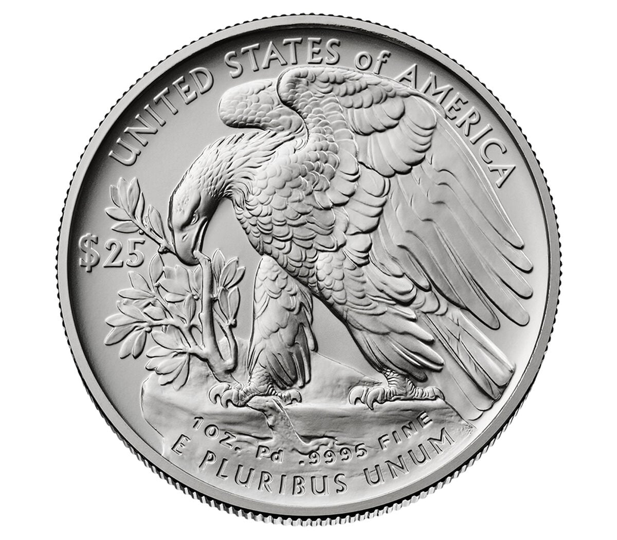 American Eagle 2026 One Ounce Palladium Uncirculated Coin, , hi-res image number 4.0