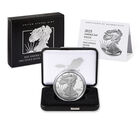 American Eagle 2025 One Ounce Silver Proof Coin, , hi-res