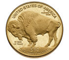 American Buffalo 2026 One Ounce Gold Proof Coin, , hi-res