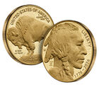 American Buffalo 2026 One Ounce Gold Proof Coin, , hi-res