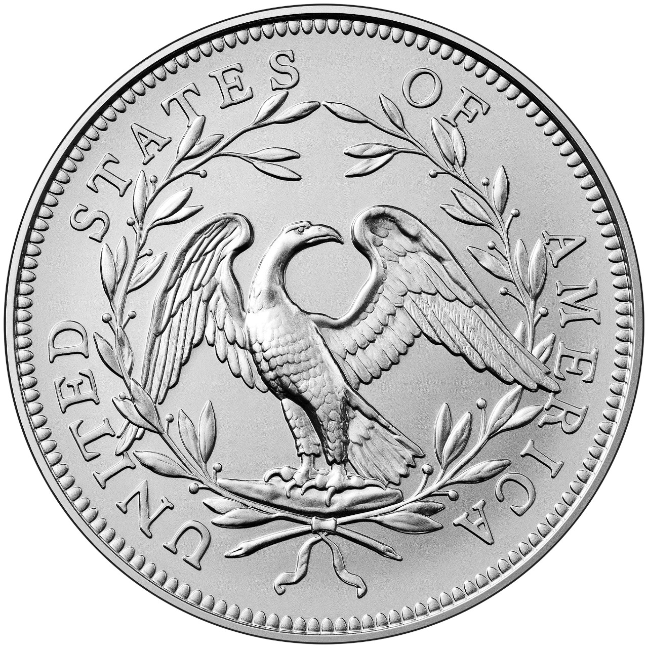2024 230th Anniversary Flowing Hair Silver Medal Reverse
