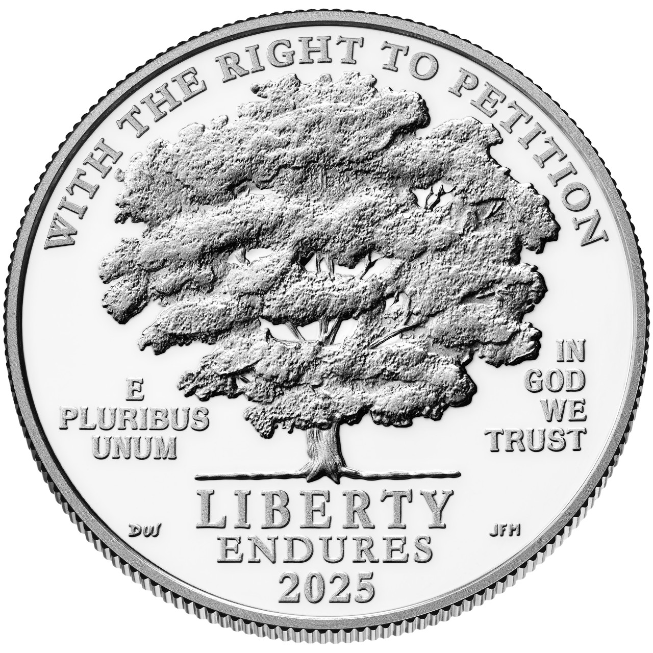 2025 American Eagle Platinum Proof Coin Obverse