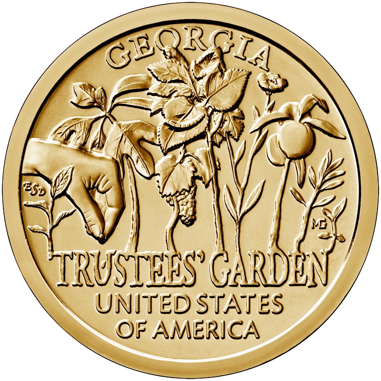 2019 American Innovation One Dollar Coin Georgia Uncirculated Reverse