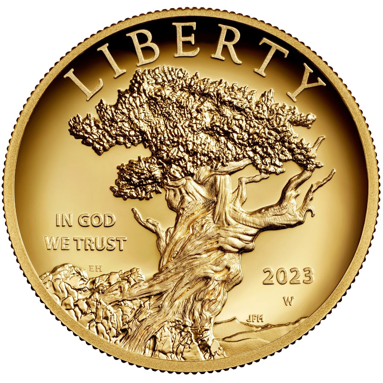2023 American Liberty High Relief Gold Coin Obverse