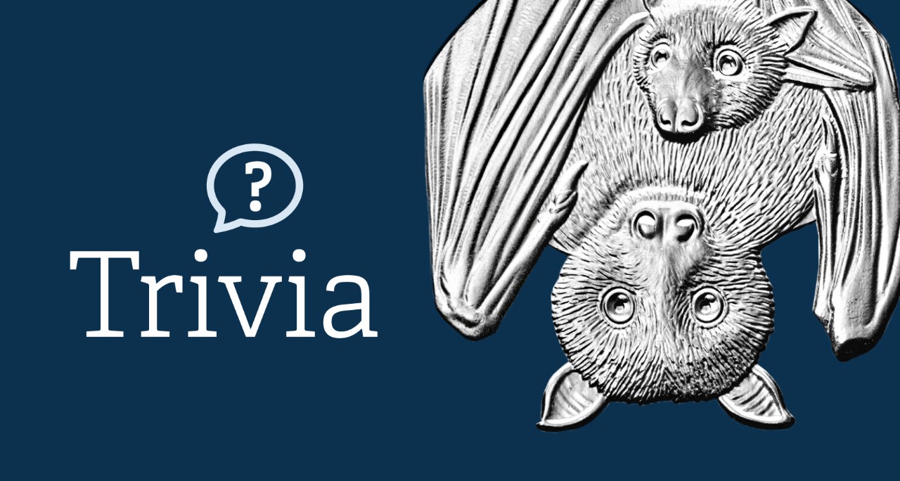 Trivia Graphic with Bats