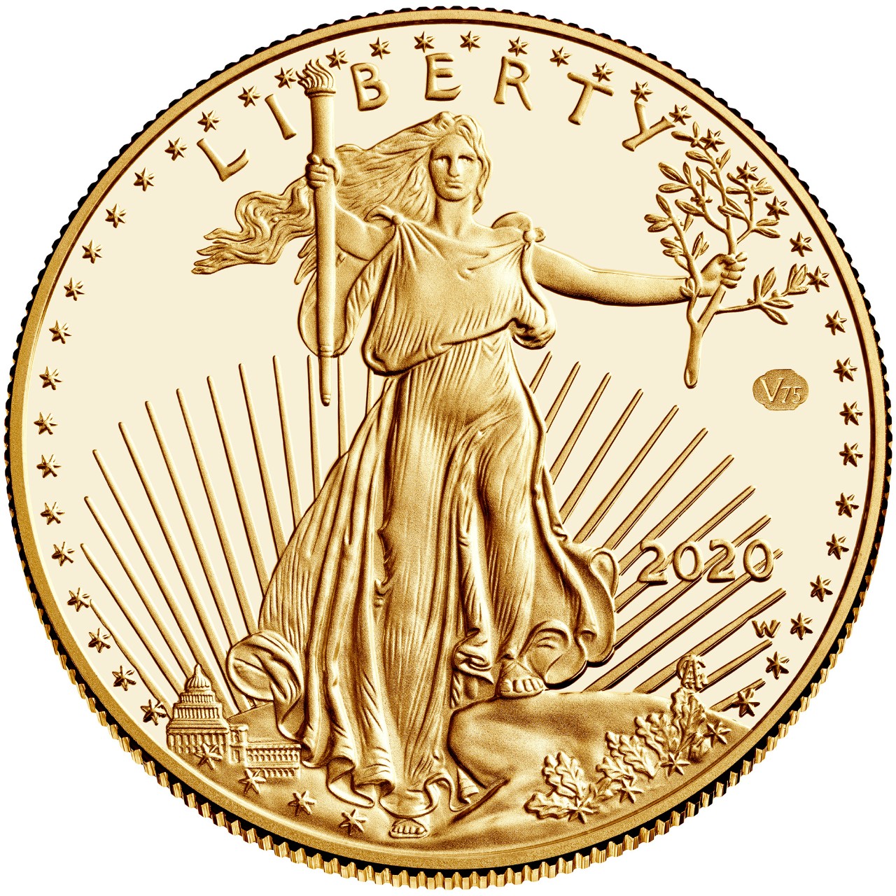 2020 American Eagle Gold One Ounce Proof Coin Obverse with Privy Mark