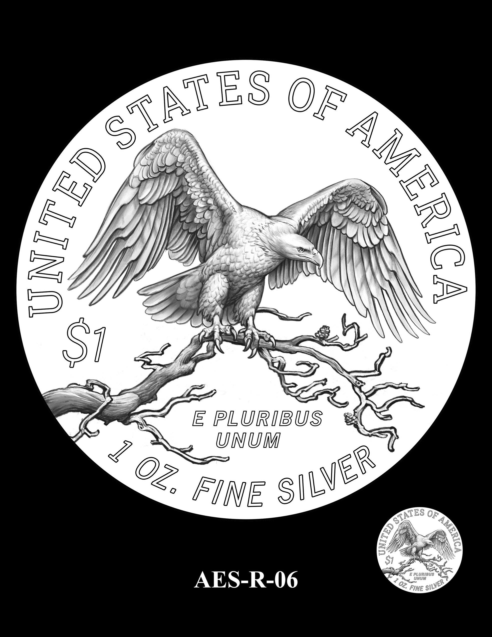 AES-R-06 -- American Eagle Proof and Bullion Silver Coin - Reverse