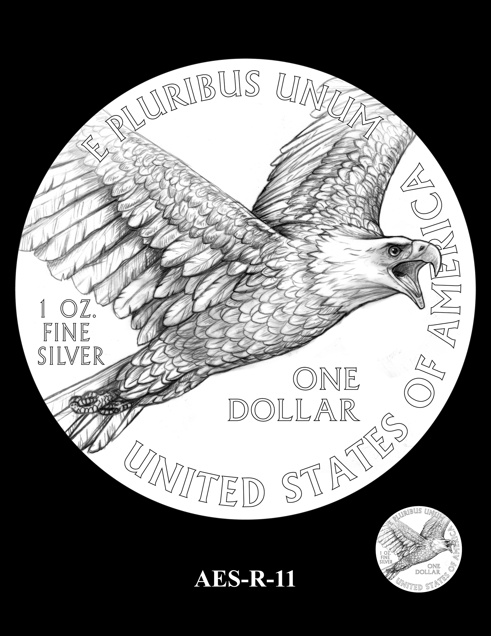 AES-R-11 -- American Eagle Proof and Bullion Silver Coin - Reverse