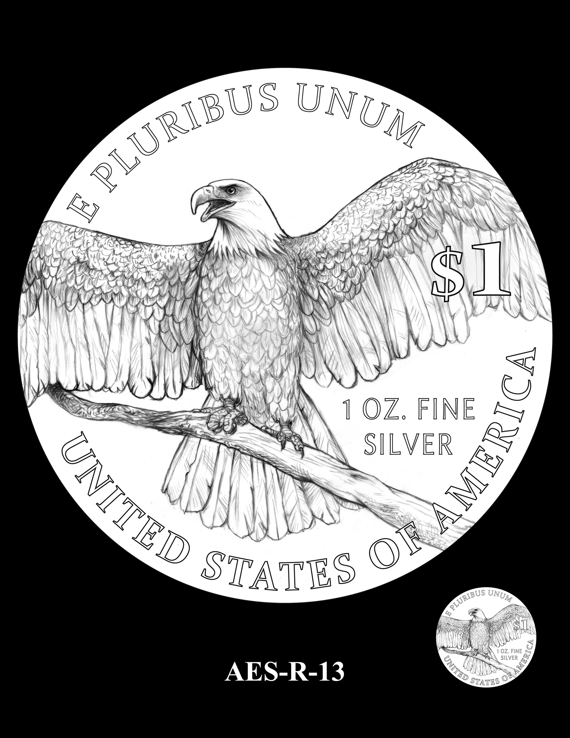 AES-R-13 -- American Eagle Proof and Bullion Silver Coin - Reverse