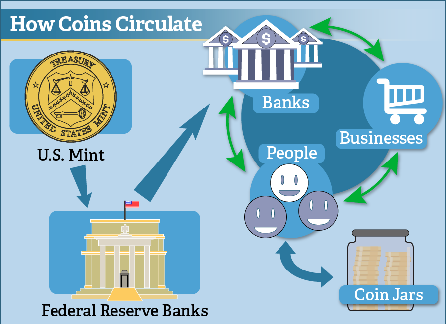 How Coins Circulate: the U.S. Mint sends coins to Federal Reserve Banks and then to banks across the U.S. to enter circulation and cycle between banks, people, and businesses