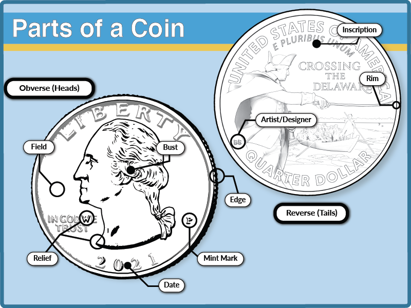Parts of a Coin: obverse - field, relief, date, mint mark, edge, bust; reverse - artist, inscription, rim