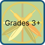 grades 3+