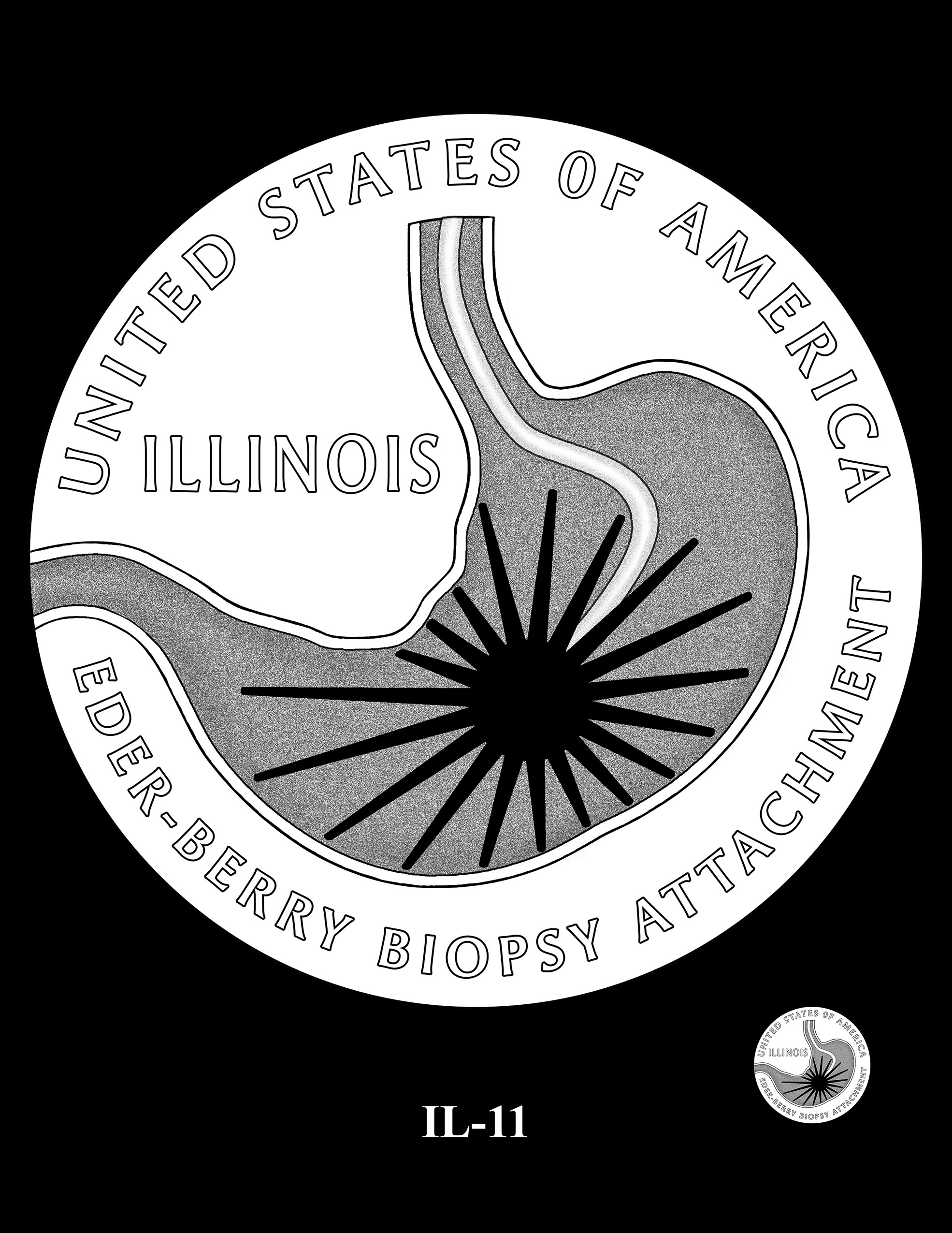 IL-11 -- 2024 American Innovation $1 Coin - Illinois