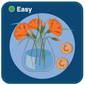 flower cents activity icon